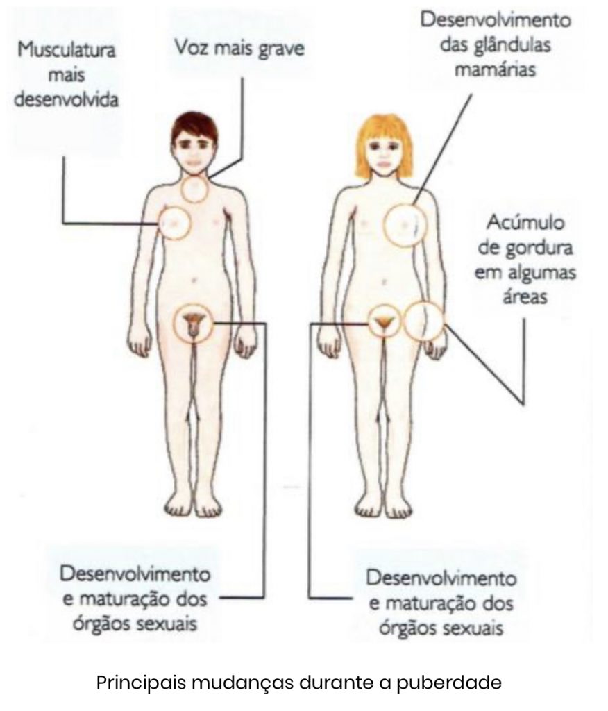 Tudo para saber sobre puberdade nas meninas - Ausonia